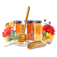 Different honey products, Zinna and Heliopsis flowers and bees around in watercolor technique png