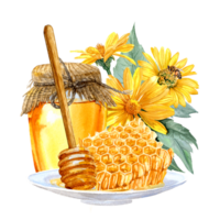 A glass jar of honey, honeycombs and yellow Heliopsis flowers hand-painted in watercolor png