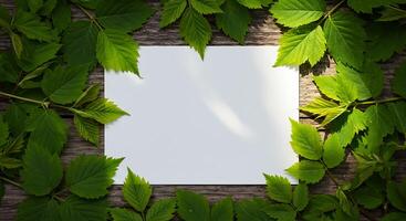 Sunlight Dappled Blank Paper Framed by Lush Green Leaves on Rustic Wood photo