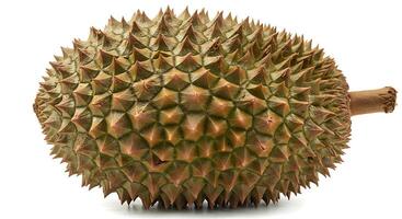 Closeup of a Durian Fruit on a White Background photo