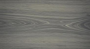 Whispers of Gray photo
