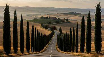 Tuscan Dream CypressLined Road at Dawn photo