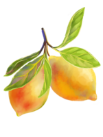 Watercolor style illustration of a lemon branch with two ripe lemons and lush green leaves. Citrus fruits are perfect for food packaging, summer designs, kitchen decor, recipe books, organic branding png