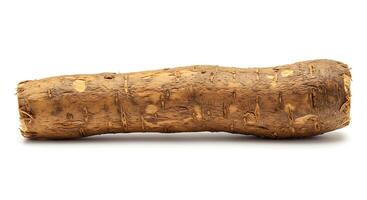 Closeup of a Raw Parsnip Root on White Background photo