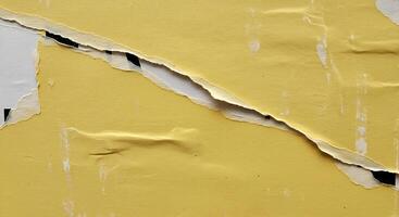 Golden Peel A Tapestry of Time photo