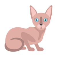 Sphynx Cat Without Fur png
