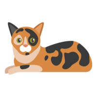 Calico Cat Graphic png