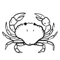 Crab Hand drawn line art sketch doodle fisherman aesthetic coastal nautical illustration vector