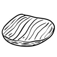 Sea shell clam Hand drawn line art sketch doodle fisherman aesthetic coastal nautical illustration vector