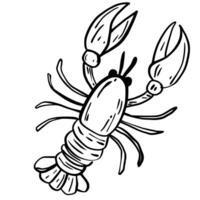 Lobster Hand drawn line art sketch doodle fisherman aesthetic coastal nautical illustration vector