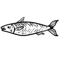 Tuna fish Hand drawn line art sketch doodle fisherman aesthetic coastal nautical illustration vector
