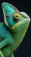 Colorful Chameleon Displaying Intricate Patterns in Vibrant Hues on a Black Background photo