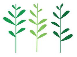 illustration of grass, weeds, bushes, wild plants, on white background vector