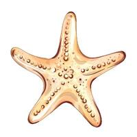 Discover the enchanting world of summer relaxation by the beach, highlighted by the charm of sea stars and the joy they bring to vacationers seeking sun and fun. vector