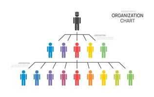 organization chart Infographic pyramid template for with business avatar icons. illustration. vector