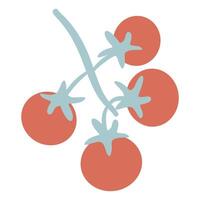 Simple illustration of a fresh branch of ripe red tomatoes, perfect for healthy food and cooking themes. vector