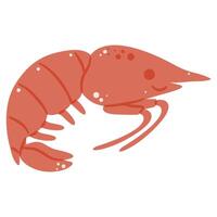 Cooked red shrimp or prawn, ideal for seafood, food, and ocean themes. vector