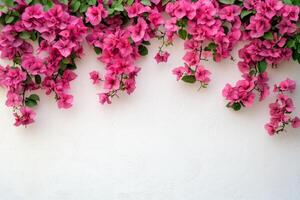 Vibrant Pink Bougainvillea Flowers Cascading Against a White Wall in a Sunny Outdoor Setting. photo