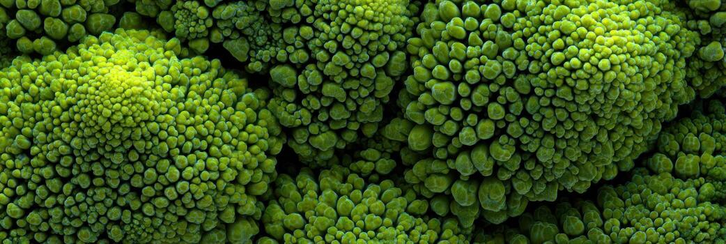 Macro Shot Captures Intricate Texture of Fresh Broccoli Florets Showcasing Vibrant Green Hues and Unique Patterns on a Smooth Surface photo