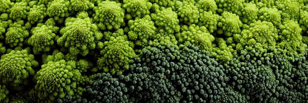 Intricate Texture of Broccoli Showcasing Vibrant Green Hues in an Abstract Macro View With an Empty Right Margin for Visual Balance photo
