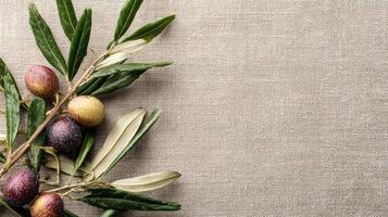 Olive Branches and Ripe Figs Arranged on Textured Linen for a Rustic Culinary Presentation photo