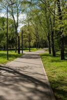 Pathway Lined With Trees in a Tranquil Park Setting During a Sunny Day in Spring Showcasing Lush Greenery and Bright Blue Skies photo