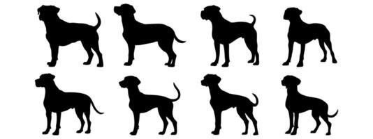 Boxer in different poses. Dog breed silhouette vector