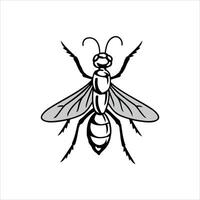 illustration of a large fly perched on a surface with a white background vector