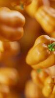 Animation of a group of bell pepper. Many bell pepper slowly rotate in the background in space. Vertical composition. Close-up. video