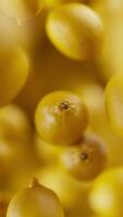 Animation of a group of lemons. Many lemons slowly rotate in the background in space. Vertical composition. Defocus. Close-up video