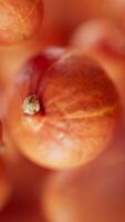Animation of a group of pumpkins. Many pumpkins slowly rotate in the background in space. Vertical composition. Defocus. video
