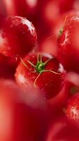 Animation of a group of tomato. Many tomatoes slowly rotate in the background in space. Vertical composition. Defocus. video