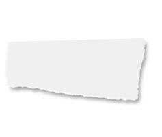 Blank horizontal piece of white torn paper resting on a bright white background, featuring soft shadows and providing ample copy space for messages, notes, or announcements vector