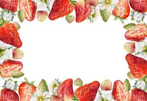 Strawberry frame with flowers and fruits vector
