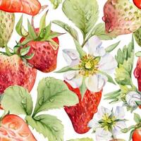 Watercolor strawberries and flowers pattern vector
