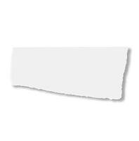Horizontal white ripped paper casting a soft shadow on a white background, creating a dramatic effect ideal for adding grunge or authenticity to projects vector