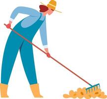 Farmer in blue overalls and a straw hat raking freshly harvested potatoes into a neat pile, working diligently on the sunny autumn day in the countryside field vector