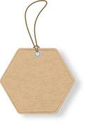 Realistic hexagonal cardboard tag hanging from a knotted string, isolated on a white background, creating a simple yet effective visual for retail, product labeling, or gift giving concepts vector