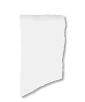 Vertical blank white ripped paper with ripped edges and shadow casting on white background, creating a realistic and textured effect, ideal for showcasing messages, notes, or designs vector