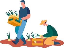 Farmers harvesting vegetables in a field vector