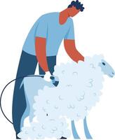 Man shearing sheep on the farm vector