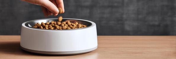 Pet Owner Pours Dry Food Into Modern Pet Bowl in Minimalist Kitchen Setting During Daytime photo