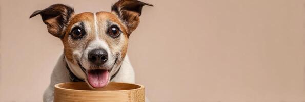 Happy Dog Enjoying Meal From Eco-Friendly Bamboo Bowl Against Soft Pastel Background photo