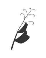 Twig with tendrils, silhouette Green peas. Dark plant print on white background. vector