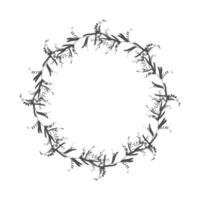 Herbal wreath of meadow grass branches - Mouse pea or lat.Vicia cracca. Dark round silhouette on white background. vector