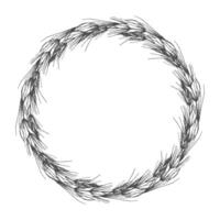 Wreath field Horsetail Equisetum arvense on white background. vector
