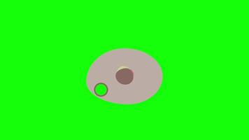 Color Palette Swatch Reveal Animation on Green Screen video