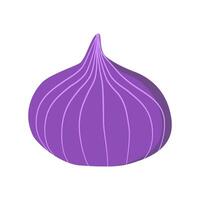 Fresh onion isolated on white background. vector