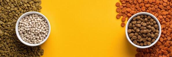 Pet Food Product Comparison Infographic Layout With Empty Banner Space for Branding photo