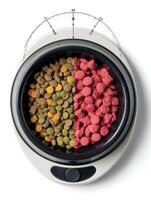 Pet Food Scale Displaying Portioned Meals With Visual Separation for Accurate Feeding in a Clean Layout photo